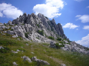 Tuloufe Grede Winnteua